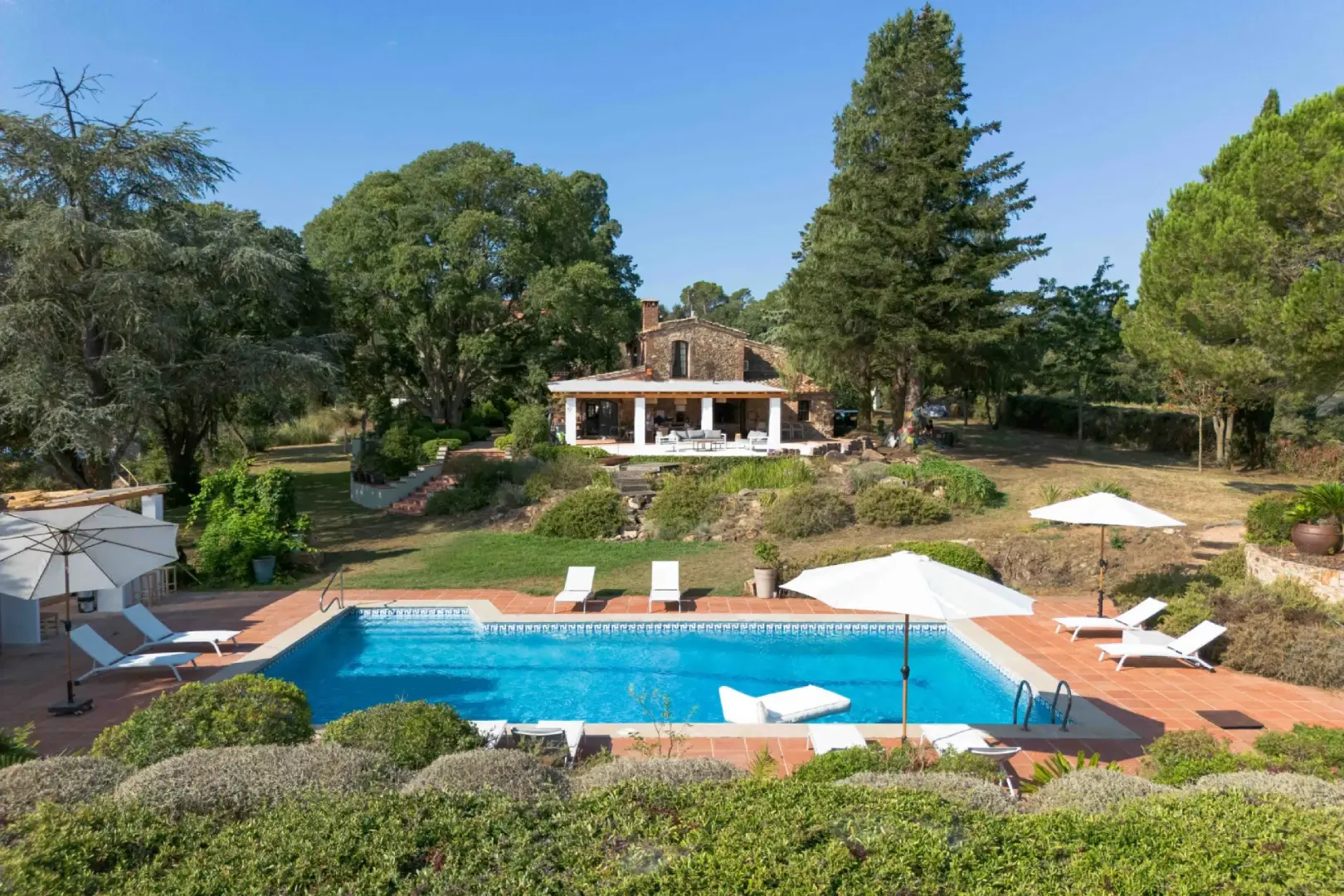 Ingredientes catalanes frescos y tapas apetecibles en una mesa elegante de Barcelona